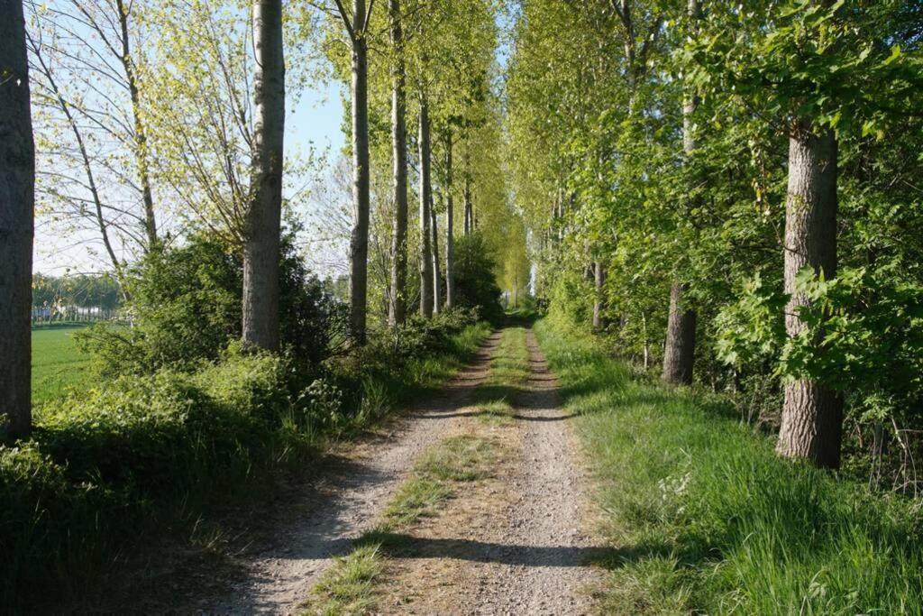 Vakantiewoning Het Olietunnetje Ovezande 外观 照片