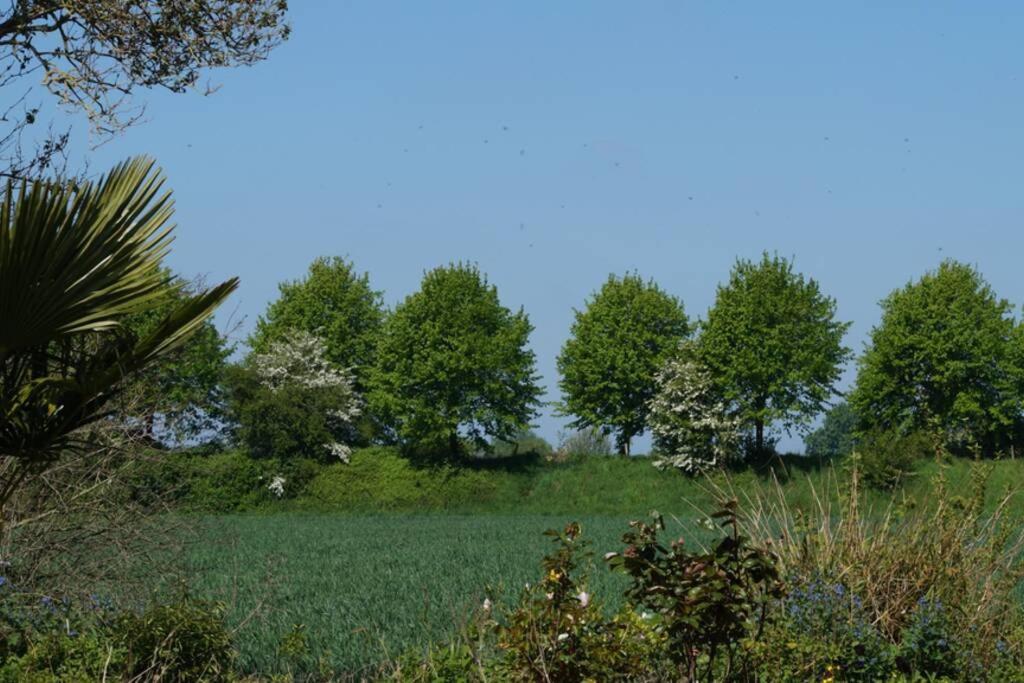 Vakantiewoning Het Olietunnetje Ovezande 外观 照片